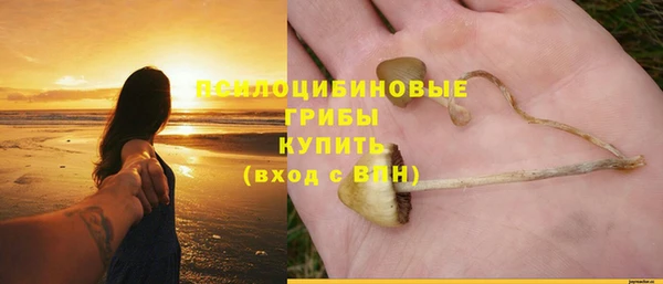 бутират Богданович